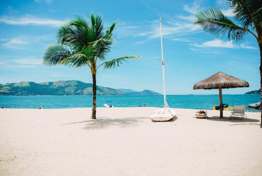 Palm trees on a sunny beach
